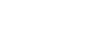 Sidekick Havanese