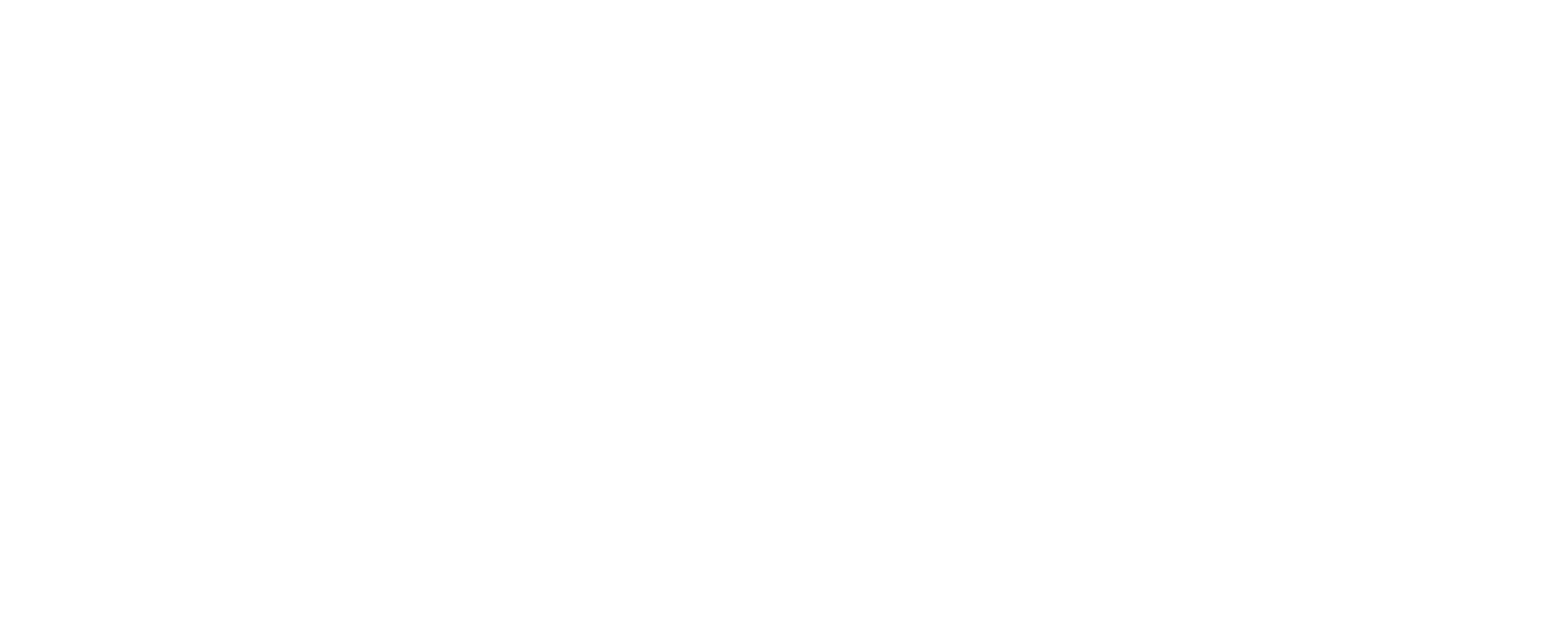Sidekick Havanese